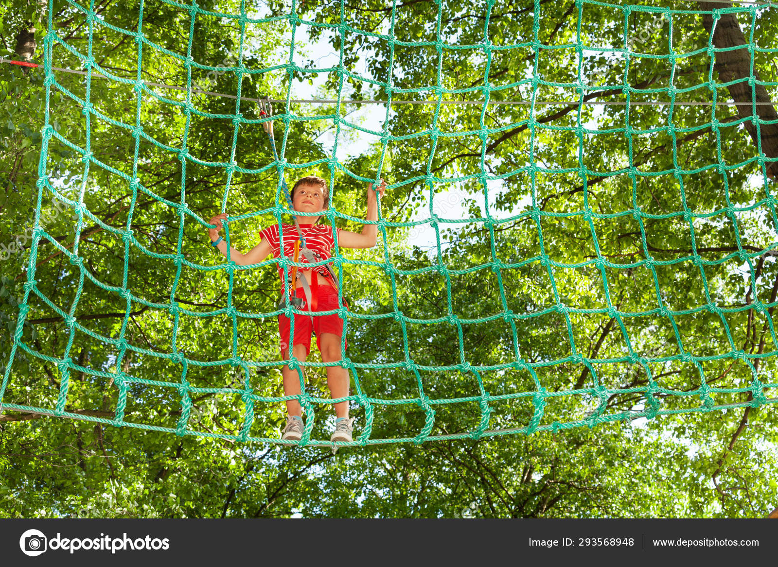 tree climbing net