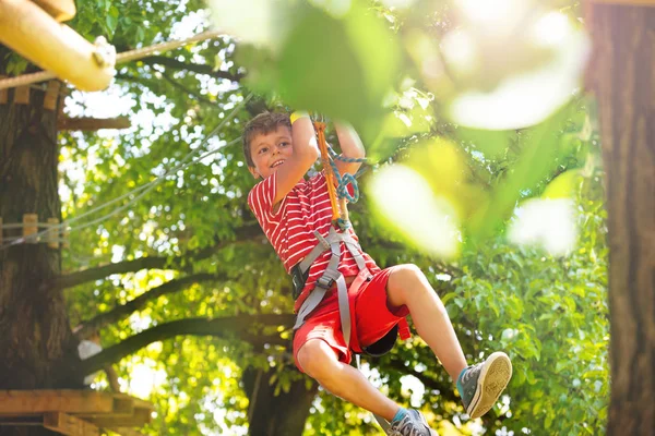 Portrait Garçon Glissant Vers Bas Tyrolienne Une Plate Forme Arbre — Photo