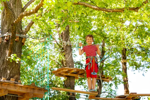 Boy Walk Tree Platforms Suspended Bridge High Ground Smile — Stock Photo, Image