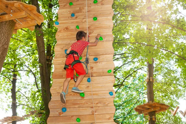 Niño Feliz Escalada Roca Pared Madera Cuerda Inicio Del Parque —  Fotos de Stock