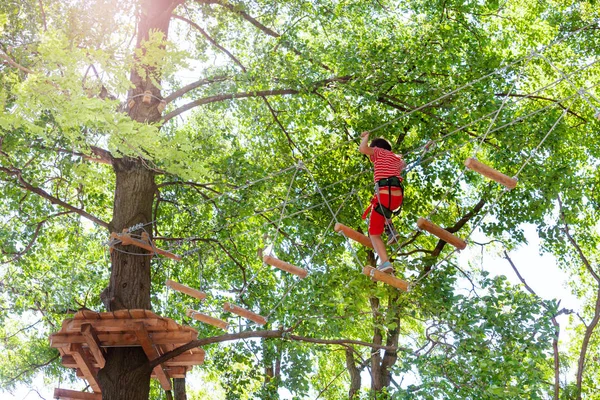 Ragazzo Passare Difficile Corda Ponte Ostacolo Esercizio Avventura Parco Andando — Foto Stock