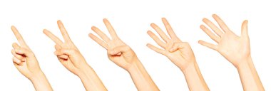 Beyaz arka plan üzerinde izole edilmiş bir, iki, üç, dört ve beş parmaklı kadın elleri