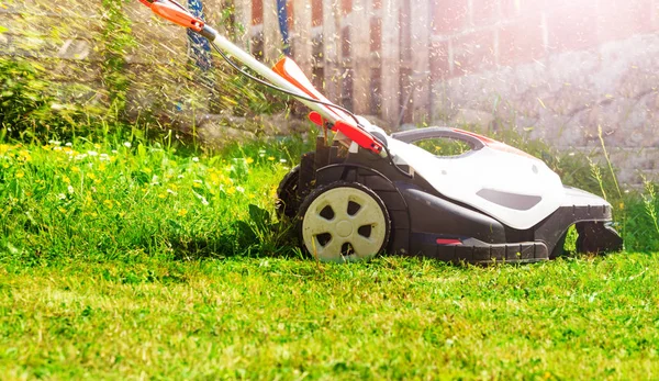 Vue Latérale Tondeuse Gazon Électrique Coupant Herbe Fraîche Dans Cour — Photo