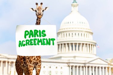 Washington'da ABD başkenti önünde zürafa protestosu, iklim değişikliği konusunda Paris Anlaşması'nı belirten imzayı tutuyor 