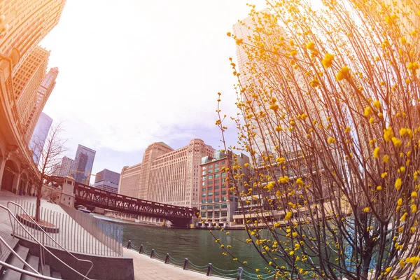 Chicago River Bij Spring City Downtown District Illinois Verenigde Staten — Stockfoto