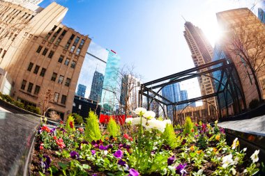 Flower bed and square in downtown of City of Chicago, Illinois, USA clipart