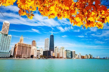 View on waterfront with autumn leaves, City of Chicago, Illinois, USA clipart