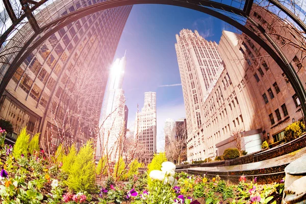 Flowers Green Decorations Square Downtown City Chicago Illinois Usa — Stock Photo, Image