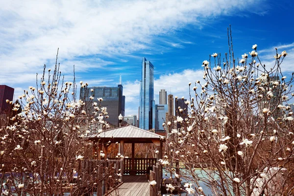 Spring Trees City Chicago Skyline Park Illinois États Unis — Photo