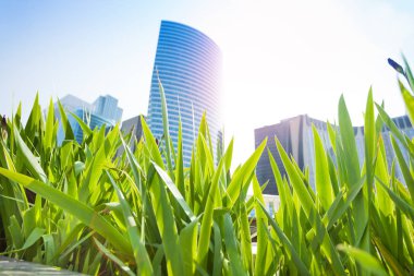 La Defense iş bölgesi kuleleri güneşli bir günde yeşil çimenler arasından izlendi, Paris, Fransa