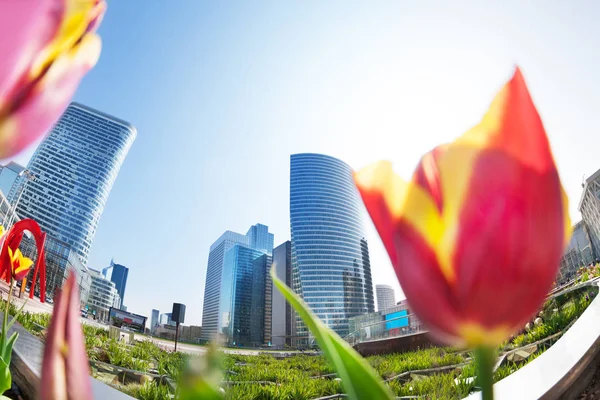 Vacker Utsikt Över Skyskrapor Defense Affärsdistrikt Paris Våren Frankrike — Stockfoto