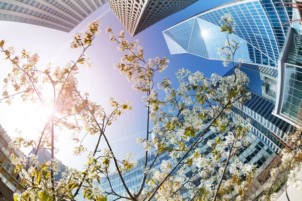 Vista Baixo Ângulo Edifícios Modernos Distrito Negócios Defense Ramos Árvore — Fotografia de Stock