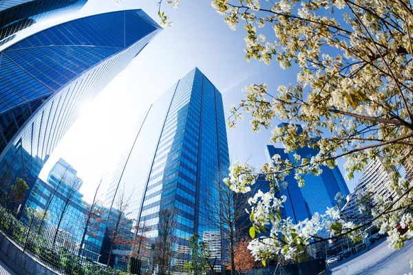 拉国防商业区的塔楼和在蓝天上开花的树木 — 图库照片