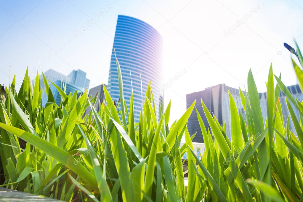 La Defense business district towers viewed through green grass at sunny day, Paris, France