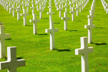 Mezarlıkta yeşil çimenlerde isim sizde olmayan birçok haç sırası
