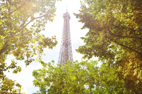 Вежа Ейфель Через Зелені Літні Дерева Листя Париж Франція — стокове фото
