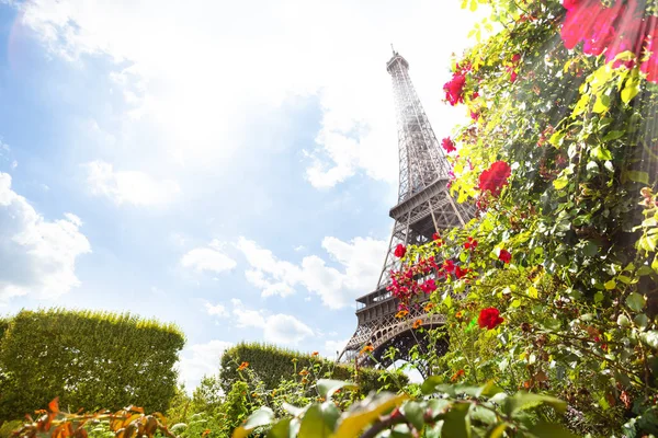 Turnul Eifel Prin Trandafiri Rosii Ziua Insorita Paris Franta — Fotografie, imagine de stoc