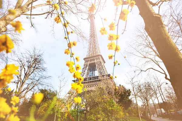 Vista Torre Eifel Través Flores Amarillas Sobre Cielo Azul Champs — Foto de Stock