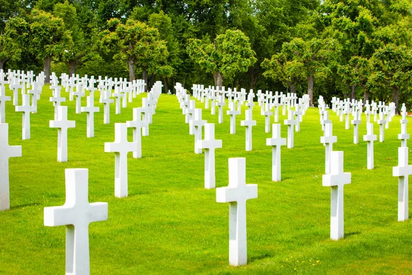 丘の上の多くの列に立っている緑の草の上に十字架を持つ軍事墓地 — ストック写真