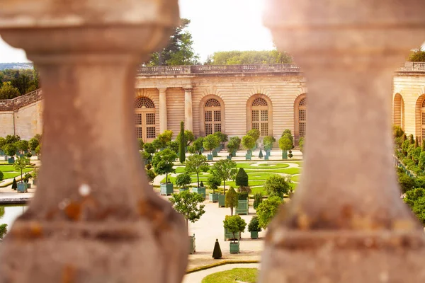 Zahrady Versailles Oranžovými Stromy Plancích Viděni Přes Balustrády Paláce Francie — Stock fotografie