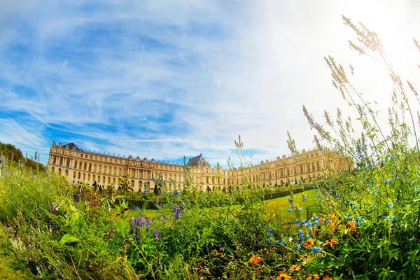 Vista Panorámica Del Palacio Versalles Con Parque Flores Primer Plano —  Fotos de Stock