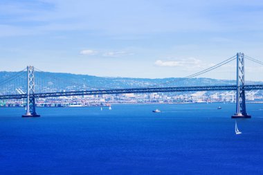 San Francisco cityscape ve ön planda Golden Gate Köprüsü ile defne alanı, ABD
