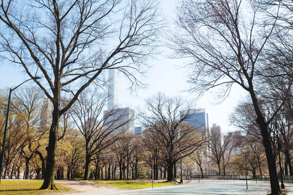 Ever changing skyline of New York central park in spring time through trees