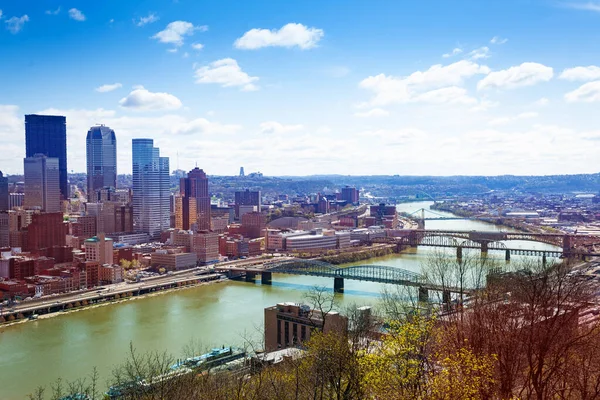 Blick Auf Pittsburg Downtown Buildings Und Monongahela River Pennsylvania Usa — Stockfoto