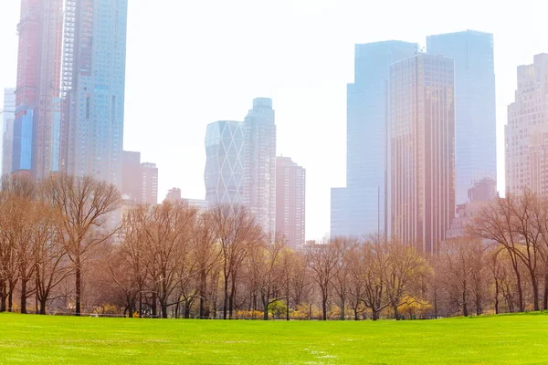 Fresh Spring Grass Lawn New York Town Buildings Background — Stock Photo, Image