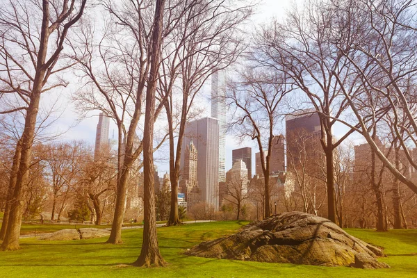 Central Park Untouched Nature Parts New York Skyline Modern Skyscrapers — Stok fotoğraf