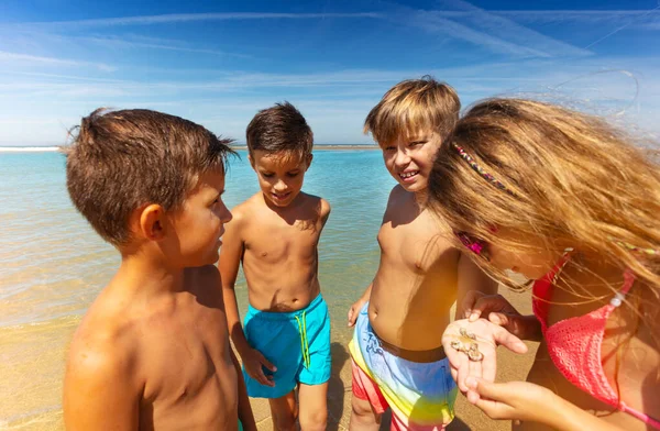 Niños Niñas Círculo Para Comprobar Encontrado Playa Concha Mar Pie —  Fotos de Stock