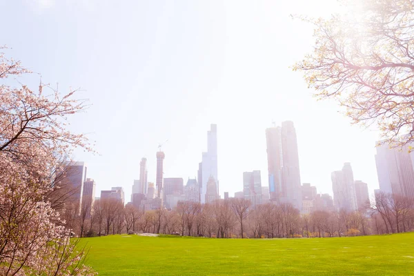 Lawn Grass Spring New York Skyscrapers Panorama View — 图库照片