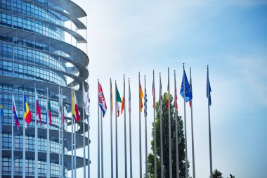 Strasbourg, Fransa - 05 Mayıs 2019 Avrupa Parlamentosu binası, Wacken Bölgesi, Du Başkan Robert Schuman. Önplanda üye ülkeler varsa bayraklarla görüntüle