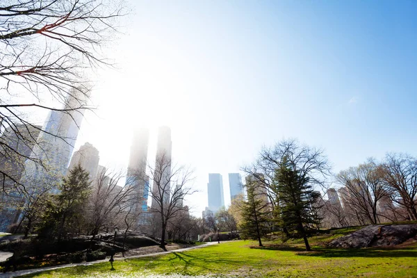 View New York Buildings Skyscrapers Central Park Spring — Stock Photo, Image