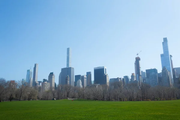 Grass Field Spring New York Panorama View Skyscrapers — ストック写真