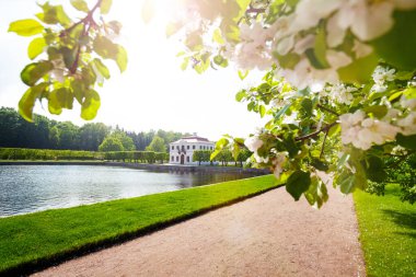 Rusya 'nın Peterhof kentindeki Lower Park' ın batı yakasındaki Maly Sarayı 'nın bahar manzarası