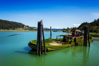 Mary D. Hume vapuru Rogue River Port of Gold Beach, Oregon 'da battı.
