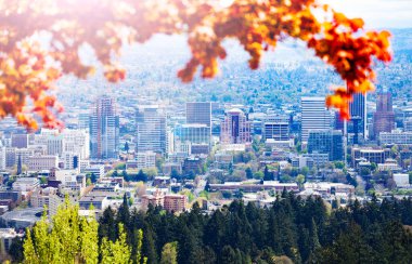 Portland şehir merkezi parkın tepesinden önü parlak turuncu sonbahar yapraklarıyla kaplı.