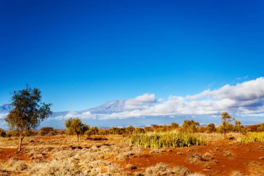 Kenya Ulusal Parkı Amboseli, Afrika 'dan Savana ve Kilimanjaro Dağı manzarası