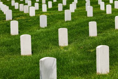 White tomb stones on green grass of the cemetery burial ground
