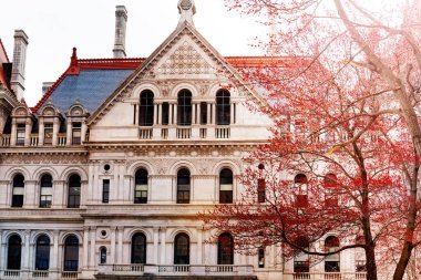 New York State Capitol binası Albany, New York, ABD 'ye yakın.
