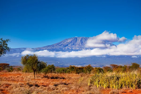 Kilimanjaro Wolken Uitzicht Bergen Vanuit Kenia Nationaal Park Amboseli Afrika — Stockfoto