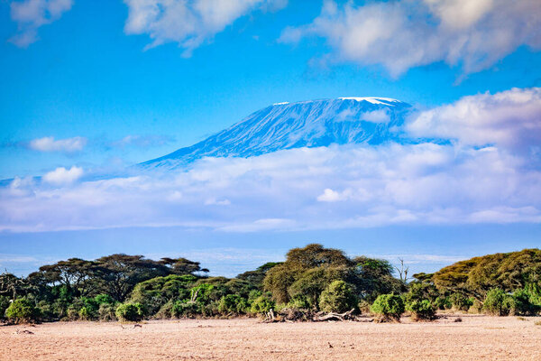 Covered in clouds Kilimanjaro mountain view from Kenya national park Amboseli, Africa