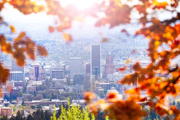 Portland Downtown Blick Vom Macleay Park Durch Herbstblätter Zweig — Stockfoto