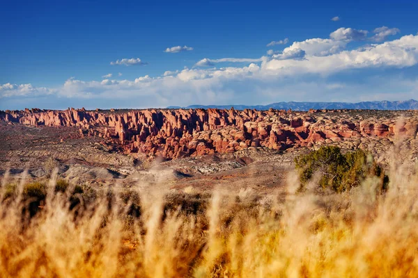 Cañón Del Río Colorado Panorama Del Desierto Sobre Cielo Azul — Foto de Stock