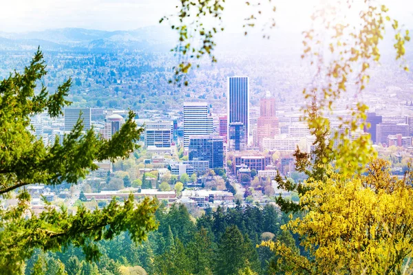 Portland Panorama Manzaralı Şehir Merkezi Binaları Oregon Abd — Stok fotoğraf