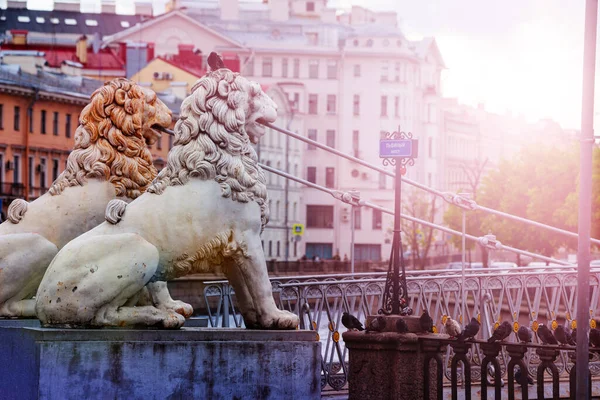 Ponte Dei Quattro Leoni Pedoni Sul Canale Griboedov San Pietroburgo — Foto Stock