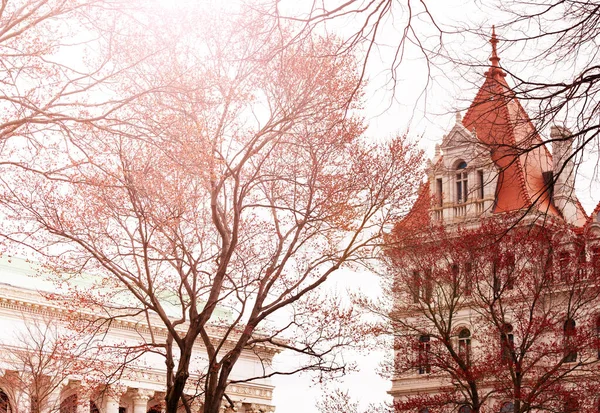 New York State Capitol Building Towers Albany Nowy Jork — Zdjęcie stockowe