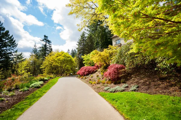 オレゴン州ポートランドのPittock Mansion Museumから徒歩で行ける場所にあるMacleay Park Path View — ストック写真