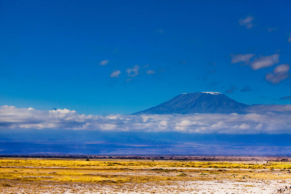Magnificent Kilimanjaro mountain and savanna from Kenya national park Amboseli, Africa